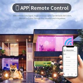 img 3 attached to 🌟 Revolutionize Your Lighting Experience with Avatar Controls - No Change Required