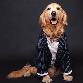 img 1 attached to 🐶 Medium Large Dog Formal Suit by PETVINS - Prince Stripe Tuxedo Costume with Bowknot Tie, Ideal Pet Wedding Shirt Party Clothes