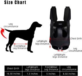 img 3 attached to 🐾 Versatile and Secure Dog Backpack for Small Dogs: 5-10 lbs, Legs Out Dog Carrier with Wide Straps, Shoulder Pads, and Hands-Free Design - Perfect for Walking, Biking, and Motorcycle Rides in Black