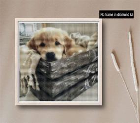 img 3 attached to 🐶 Reofrey DIY Dog Diamond Painting Kit for Adults - Animal Full Drill Round Rhinestone Diamond Art Project with Cross Stitch Embroidery Canvas - Crafts Decor (40x40 cm/16x16 inch)