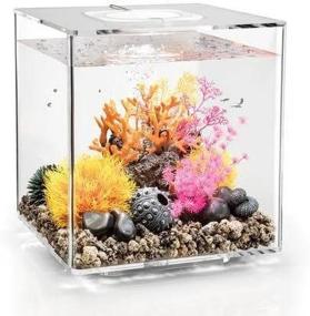 img 1 attached to Enhanced aquascaping with biOrb Cube 30 Aquarium – LED included