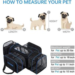 img 3 attached to 🐱 Spacious Soft Crate Travel Carrier by YOUTHINK for Pets up to 20 lbs Including Fleece Bed - 20&#34; x 12&#34;x 11&#34; Black Cat Carrier (Expandable 4-Side Carrier)