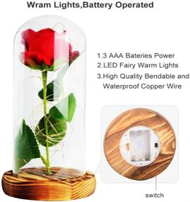 img 2 attached to 🌹 ShangTianFeng Room Decor, Rose Night Light - Perfect Gift for Mom & Girlfriend, Romantic Red Rose with Illumination