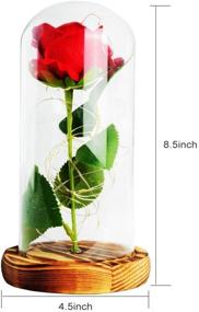 img 1 attached to 🌹 ShangTianFeng Room Decor, Rose Night Light - Perfect Gift for Mom & Girlfriend, Romantic Red Rose with Illumination