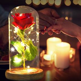 img 3 attached to 🌹 ShangTianFeng Room Decor, Rose Night Light - Perfect Gift for Mom & Girlfriend, Romantic Red Rose with Illumination