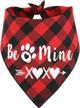 valentines bandana puppy plaid scarf logo