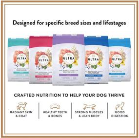 img 1 attached to 🐶 NUTRO ULTRA Adult Dry Dog Food, Chicken Lamb Salmon Flavor