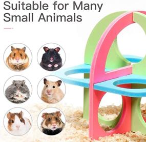 img 3 attached to Hamster Exercise Guinea Accessories Houses