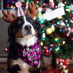 img 3 attached to 🎀 Family Kitchen Classic Pink Plaid Pet Puppy Dog Bandana with Dog Birthday Party Hat: Perfect Party Accessories for Your Girl Dog's Special Day!