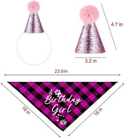 img 1 attached to 🎀 Family Kitchen Classic Pink Plaid Pet Puppy Dog Bandana with Dog Birthday Party Hat: Perfect Party Accessories for Your Girl Dog's Special Day!