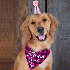 img 2 attached to 🎀 Family Kitchen Classic Pink Plaid Pet Puppy Dog Bandana with Dog Birthday Party Hat: Perfect Party Accessories for Your Girl Dog's Special Day!