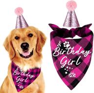 🎀 family kitchen classic pink plaid pet puppy dog bandana with dog birthday party hat: perfect party accessories for your girl dog's special day! logo