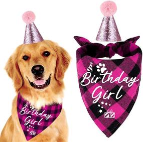 img 4 attached to 🎀 Family Kitchen Classic Pink Plaid Pet Puppy Dog Bandana with Dog Birthday Party Hat: Perfect Party Accessories for Your Girl Dog's Special Day!