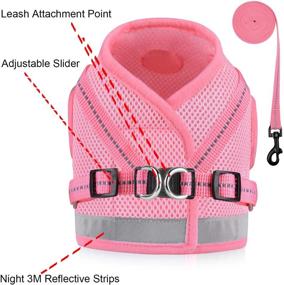 img 1 attached to 🐾 GAUTERF Cat Harness Set for Walking Escape Proof, Adjustable Soft Mesh Vest with Reflective Strip for Cats and Small Dogs, Comfortable Outdoor Jacket with Leash