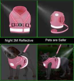 img 2 attached to 🐾 GAUTERF Cat Harness Set for Walking Escape Proof, Adjustable Soft Mesh Vest with Reflective Strip for Cats and Small Dogs, Comfortable Outdoor Jacket with Leash