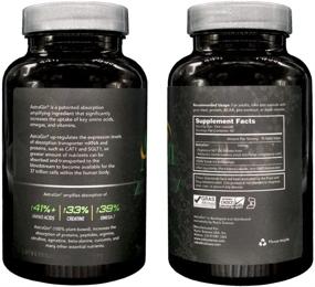 img 3 attached to AstraGin: Optimizing Bioavailability Enhancer for Pre-Workout Supplements, BCAA, and Protein Powder