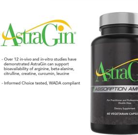 img 2 attached to AstraGin: Optimizing Bioavailability Enhancer for Pre-Workout Supplements, BCAA, and Protein Powder