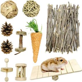 img 4 attached to PietyPet Hamster Natural Chinchillas Accessories