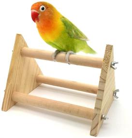 img 4 attached to Wooden Table Perch Stand for Small Pet Bird Parrot Budgies Parakeet Cockatiel Cockatoo Conure Lovebird or Small Animal Hamster Training Tripod Toy by Mrli