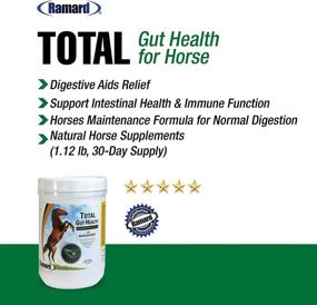 img 2 attached to 🐎 Ramard Total Gut Health for Horses - Enhance Digestive Function - Boost Intestinal Health and Immune System - Performance Formula for Horse Digestion - Natural Equine Supplies - 1.12 Lb (30 Day Supply)