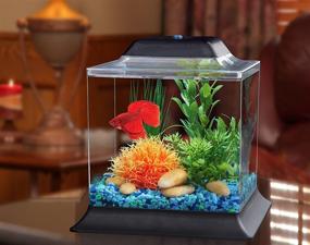 img 3 attached to 🐠 Koller Products AquaScene 1.5-Gallon Fish Tank with LED Lights: Enhancing the Searchability