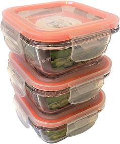 img 3 attached to 🍱 Bariatric Portion Control Container/Lunchbox - WLS Glass Meal Prep Containers 3pk, Weight Loss, Borosilicate Glass. Healthy Eating Practical for Post-Surgery, Gastric Sleeve, Bypass, Band + Protein + Vegetables