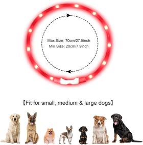 img 1 attached to 🐶 Red Glowing Dog Collar - Flashing Safety Collar with Light Up Feature - USB Rechargeable, Water-Resistant - Adjustable for Any Dog Size