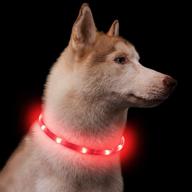 🐶 red glowing dog collar - flashing safety collar with light up feature - usb rechargeable, water-resistant - adjustable for any dog size logo