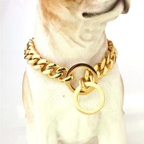 img 2 attached to 🐶 FANS JEWELRY Gold Dog Chain Collar: Stylish, Durable Stainless Steel Metal Chain for Walking, Training, and Chew-Proof Control- 18K Gold-Plated Cuban Curb Link Collar and Leash for Large, Medium, and Small Dogs