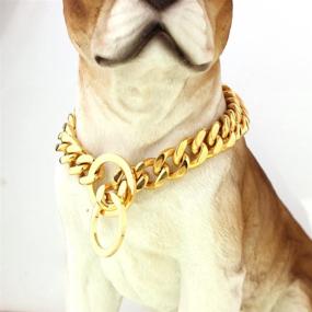 img 1 attached to 🐶 FANS JEWELRY Gold Dog Chain Collar: Stylish, Durable Stainless Steel Metal Chain for Walking, Training, and Chew-Proof Control- 18K Gold-Plated Cuban Curb Link Collar and Leash for Large, Medium, and Small Dogs