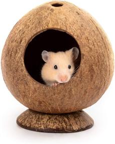 img 4 attached to 🐹 Coconut Hut Hamster House Bed: The Ideal Gerbil, Mice, and Small Animal Cage Habitat Decor
