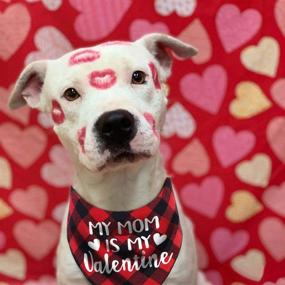 img 3 attached to Stylish Buffalo Plaid Dog Scarf: Perfect Valentines Day Gift for Medium Large Dogs!