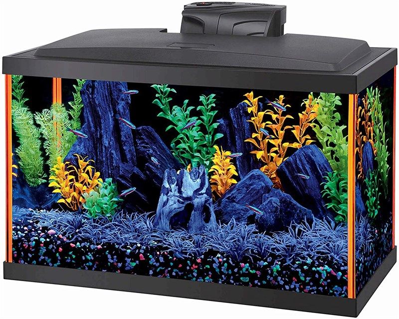 aqueon fish neoglow aquarium starter 로고