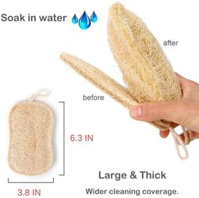 img 2 attached to 🌿 PeNeede Natural ECO Dish Sponges Kitchen (Upgrade Large Size): Organic Compostable Fruit Vegetable Scrubber, Non-Scratch Scouring Sponge Pads – Pack of 2