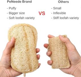 img 3 attached to 🌿 PeNeede Natural ECO Dish Sponges Kitchen (Upgrade Large Size): Organic Compostable Fruit Vegetable Scrubber, Non-Scratch Scouring Sponge Pads – Pack of 2