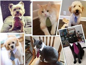 img 1 attached to 🎃 Cat Halloween Costume Tie: Stylish Pet Business Tie for Cats and Small Dogs!