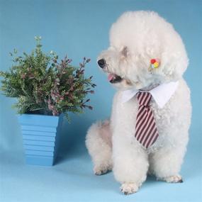 img 2 attached to 🎃 Cat Halloween Costume Tie: Stylish Pet Business Tie for Cats and Small Dogs!