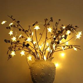 img 2 attached to 🌟 Twinkle Star Lights: 100LEDs 33ft Warm White+Multicolored Remote String Lights - 8 Modes, Waterproof - Perfect for Outdoor Wedding Party Decoration, Christmas, New Year, Garden