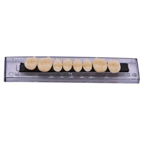 img 1 attached to Dental Fake Teeth Denture Set of 6 Synthetic Resin for Halloween Horror, A3 Size - Includes 168 Pcs