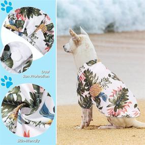 img 2 attached to Stylish Pet Dog Hawaiian Shirt Set: Cool Summer T-Shirts, Straw Hat & Golden Chain Collar for Small to Large Dogs – White/Pineapple Design