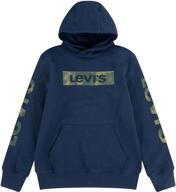 levis graphic pullover hoodie green logo