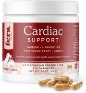 🐾 fera cardiac support supplement - taurine, l-carnitine, coq10, organic hawthorn berry, vitamin e - promotes cardiovascular health & healthy circulation for dogs & cats logo