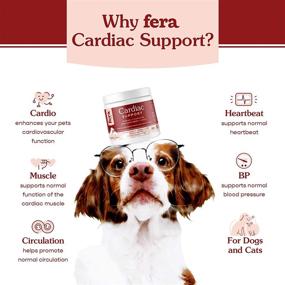 img 3 attached to 🐾 FERA Cardiac Support Supplement - Taurine, L-Carnitine, CoQ10, Organic Hawthorn Berry, Vitamin E - Promotes Cardiovascular Health & Healthy Circulation for Dogs & Cats