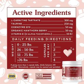 img 2 attached to 🐾 FERA Cardiac Support Supplement - Taurine, L-Carnitine, CoQ10, Organic Hawthorn Berry, Vitamin E - Promotes Cardiovascular Health & Healthy Circulation for Dogs & Cats