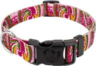 🐾 deluxe dog collar from country brook design's paisley collection, proudly made in the u.s.a. logo