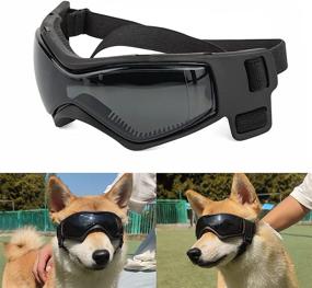 img 4 attached to Small to Medium Dog Goggles - UV Sunglasses Windproof Snowproof Pet Glasses for Doggy Eye Protection