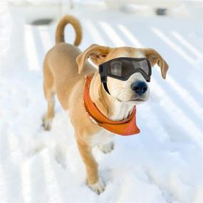 img 3 attached to Small to Medium Dog Goggles - UV Sunglasses Windproof Snowproof Pet Glasses for Doggy Eye Protection