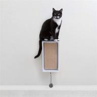 🐱 maximize feline fun and neatness with primetime petz hauspanther catchall: wall mounted cat scratcher toy storage & perch logo