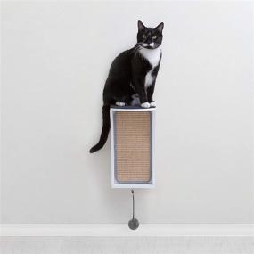 img 4 attached to 🐱 Maximize Feline Fun and Neatness with Primetime Petz Hauspanther CATchall: Wall Mounted Cat Scratcher Toy Storage & Perch