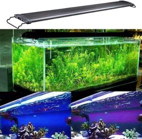 img 3 attached to 🐠 KZKR Upgraded Aquarium Light: 11 to 78 Inch Full Spectrum Remote Control Fish Tank Lighting - White and Blue for Freshwater, Saltwater, Marine Tanks
